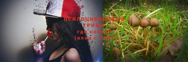 бутират Алексин